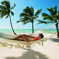 Отзыв от Вера - DTV виза